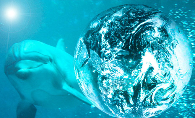 Dolphin Cry 2.0 Trance Remix by Dylan Tauber / Son Of Waves Studios