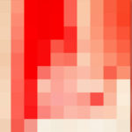 In Review: Shane The Crane – STC