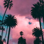 Summer Is Almost Here… Check Out Sago Tonos’ Bootleg Of “Playa (Say That)”