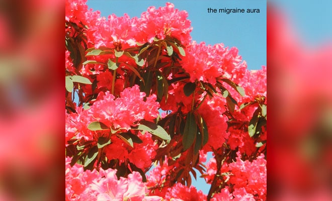 the migraine aura