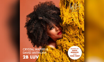 Crystal Waters David Anthony 2B LUV Remixes