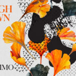 Vini Vici Team Up With Naeleck & Marnik For Eclectic Single