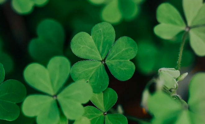 Irish culture