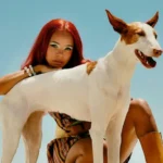 “Voltage” Proves HALIENE And Miyuki Are A Perfect Match